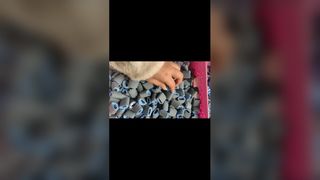 HP بيك اب رولر 1010