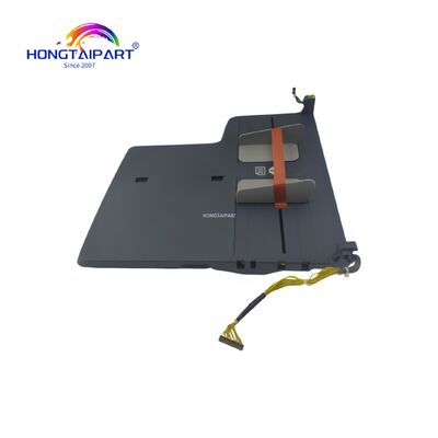 الاسم