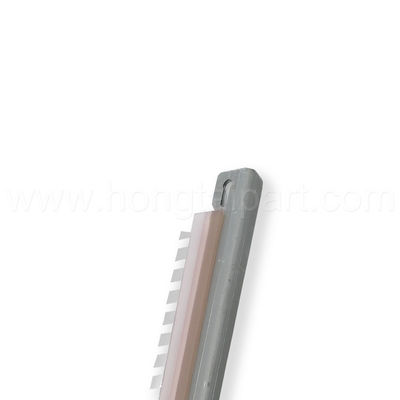 الاسم