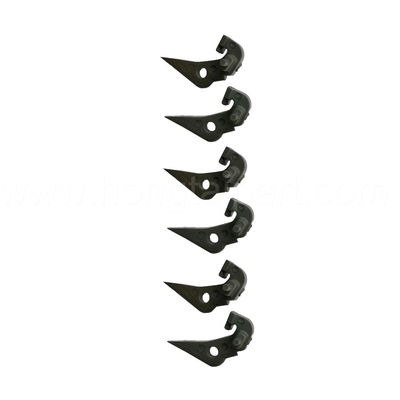 الاسم